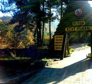 aral alabalik tesisi kestel bursa zomato